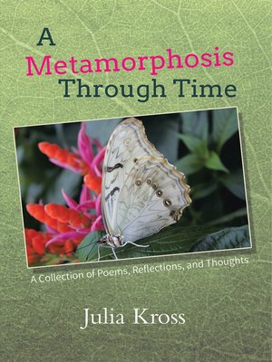 cover image of A Metamorphosis Through Time